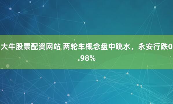 大牛股票配资网站 两轮车概念盘中跳水，永安行跌0.98%