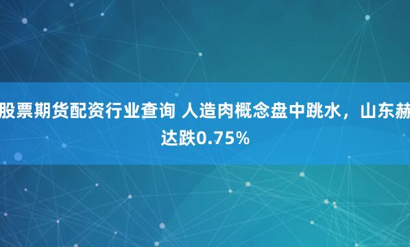 股票期货配资行业查询 人造肉概念盘中跳水，山东赫达跌0.75%