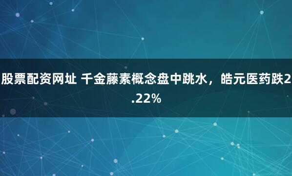 股票配资网址 千金藤素概念盘中跳水，皓元医药跌2.22%