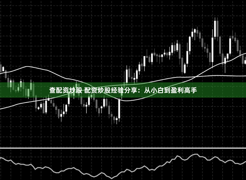 查配资炒股 配资炒股经验分享：从小白到盈利高手