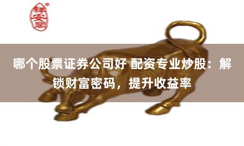 哪个股票证券公司好 配资专业炒股：解锁财富密码，提升收益率