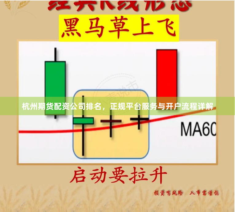 杭州期货配资公司排名，正规平台服务与开户流程详解