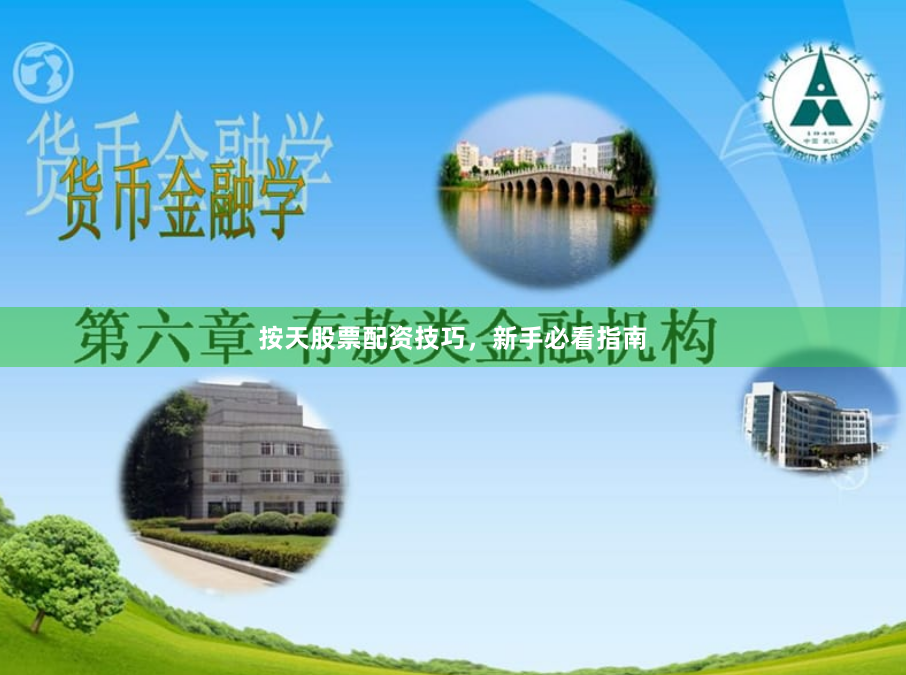 按天股票配资技巧，新手必看指南